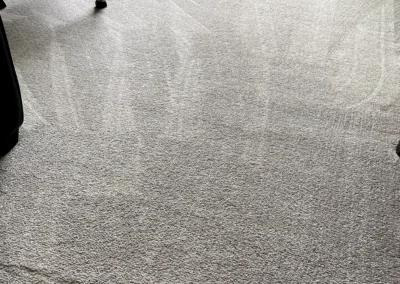 carpet