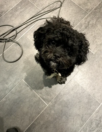 Maggie
